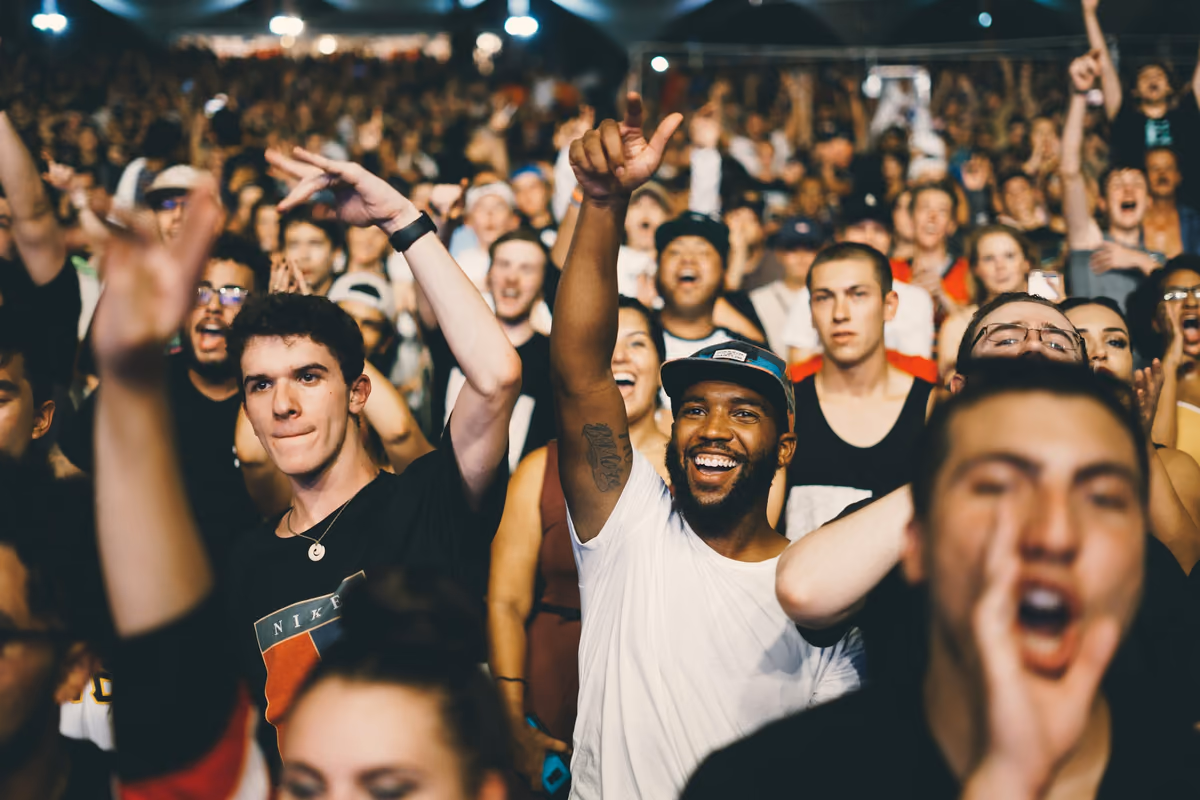 A cheering concert crowd, seen through a camera viewfinder